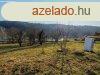 Panorms ZALACSNYI PTSI TELKET elad. - Zalacsny