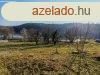 Panorms ZALACSNYI PTSI TELKET elad. - Zalacsny