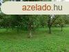 Idelis paramterekkel rendelkez telek a frd kzelben el