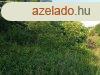 Zalaszentlszl, Zala megye