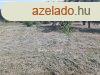 816 m2-es ptsi telek elad dndon, kzel a kzponthoz