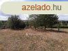 Balatoni panorms osztatlan kzs telek elad Sifokon, Tr