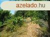 Oroshzn hobbi telek elad - Oroshza