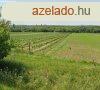 Szlterlet elad Balatonboglron