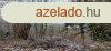 Elad telek Zselickislakon, az reghegyen!