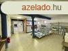 Elad 580m2-es Telephely, Hatvan