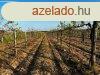 Elad panorms szlterlet Znkn! - Znka