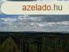 Elad panorms szlterlet Szentantalfn! 1,2ha! - Szentan