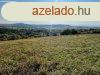 Elad rkpanorms telek Balatoncsicsn!