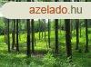Elad vgsra rett erd a Balatonhoz kzel! - Szentkirlysz
