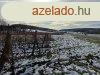 Kivl krnyezetben -elad GAZDASGI PLET BALATONCSICSN -