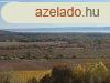 Drgicse gyngyszeme meseszp panormval