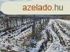 Erd kzelben -elad MEZGAZDASGI TERLET BALATONCSICSN -
