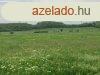 Mezgazdasgi terlet ELAD Balatonszlsn