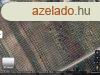 Panorms Szlvel teleptett pthet kertes mezgazdasgi 