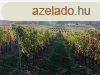 ,Balaton panormja,termszet kzelsge, - Znka