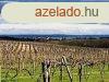 Tjpanorms,telepls kzeli- elad MEZGAZDASGI TERLET Z