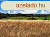Tjpanorms terlet - elad MEZGAZDASGI TERLET DRGICSN