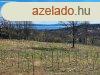 Panorms, pthet, erdben-elad MEZGAZDASGI TERLET VS