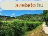 PTHET terlet- elad MEZGAZDASGI TERLET PCSELYEN - P