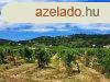 PTHET terlet- elad MEZGAZDASGI TERLET PCSELYEN - P