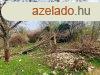 Kisdrgicsei belterleti telek - Drgicse