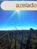 Tagyon szl 1,2 hektr