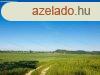 Panorms Terlet Aszfn