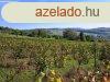 pthet, tjpanorms-elad MEZGAZDASGI TERLET MINDSZENT