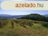 pthet, panorms-elad ZRTKERT MINDSZENTKLLN - Mindsze
