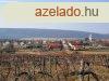 PANORMS TERLET - elad SZL TERLET SZENTANTALFN - Szen