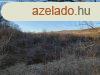 A termszet lelsben - Balatonszls