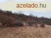 Kzt melletti - elad LEGEL BALATONALMDIBAN - Balatonalm
