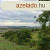 Legyl Birtokos Szlsz-Borsz !! - Pcsely