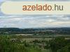 Legyl Birtokos Szlsz-Borsz !! - Pcsely