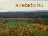 Drgicsei zrtkerti ingatlan gynyr panormval - elad D