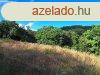 Vllalkozk ,Befektetk - elad BELTERLETI TELEK BALATONSZ