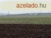 ELAD CEGLDEN 5.0399 HA SZNT! - Cegld