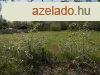 Nyugalom szigete-csendes let - Csomd