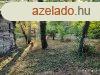 Elad vzparti telek Szolnok Alamand dl!