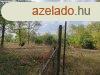 Elad Kzepes llapot Szntfld, legel Nagyvenyim Petfis