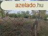 Elad Kzepes llapot Szntfld, legel Nagyvenyim Petfis