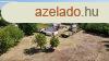 Flp gazdlkodsra alkalmas gynyr birtok elad
