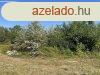 svnyrrn 2445 m2-es ptsi telek elad!
