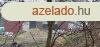 Lbnyben elad telephely a cgednek! 