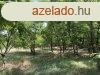 Nagy terlet elad