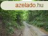 Elad GAZDASGI PLET Mindszentklla zrtkerti rszn!