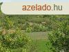 Elad zrtkert a Csobnc szaki lbnl! - Tapolca
