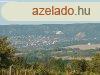 Elad zrtkerti telek Fehrvrcsurgn