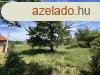 Elad 1359 nm-es Feljtott zlet Pcs Kertvros/Mlom 